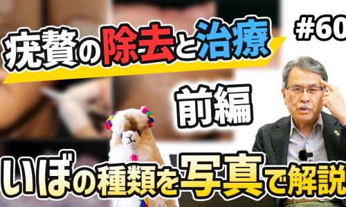 泰国调经丸的功效与作用-权威泰国调经丸真的有效吗平台,分享专业泰国的调经丸是正规药吗知识_泰国调经丸好不好网